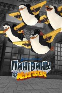 Пингвины из Мадагаскара 1,2,3 сезон